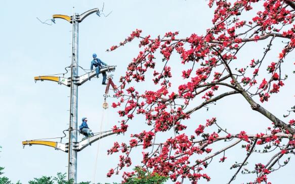 保底电网建设开启“加速度”