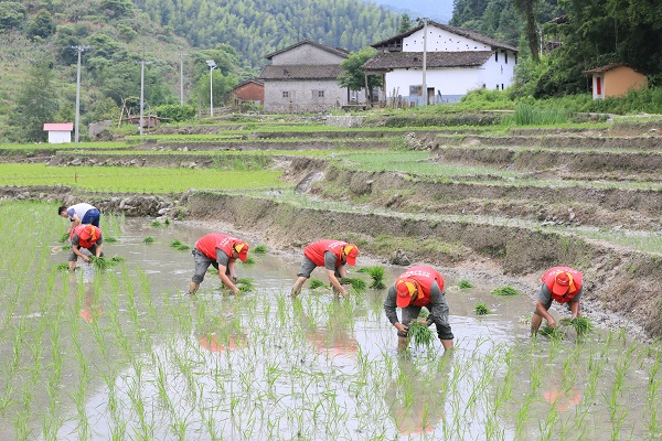 小山村有了大变化——国网乐安县供电公司精准扶贫工作侧记