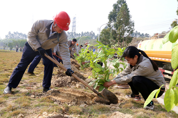 国能（泉州）热电有限公司植树活动共建美好家园