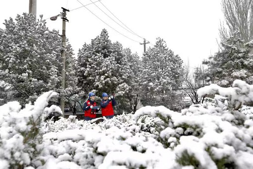 春雪纷飞 保障供电