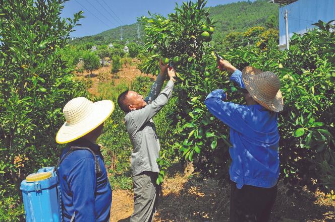 王国洲：把村事当家事，把村民当亲人