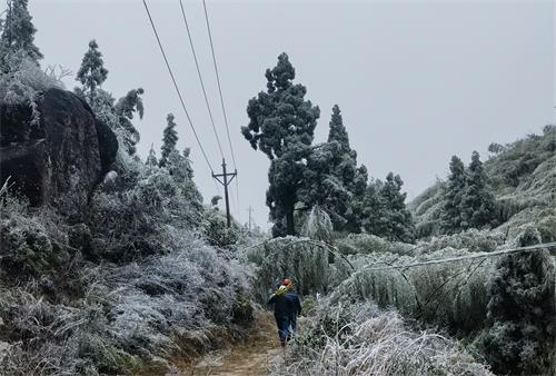 国网寿宁县供电公司寒潮特巡严防线路覆冰