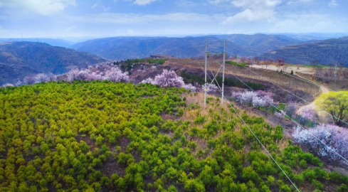 国网庆阳供电公司电力赋能绘就美丽乡村新画卷