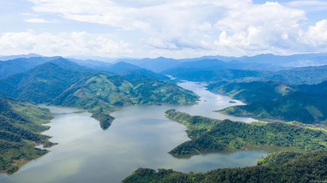 中国电建：为保护生物多样性注入中企动力