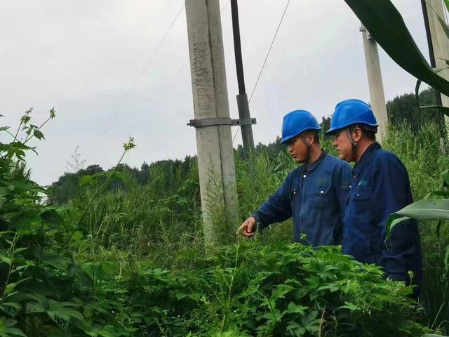 国网长春供电公司积极应对极端天气，确保线路设备稳定运行