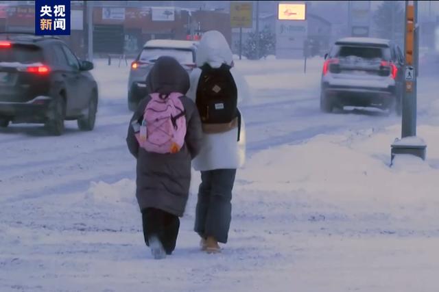 加拿大遭大雪和极寒天气侵袭 多地供电受影响