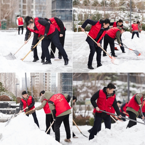 白雪更映“志愿红”，山东电建公司志愿者扫雪除冰在行动