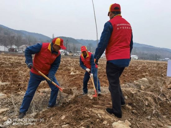 国网洛南县公司“红马甲”义务植树 为康养洛南添新绿