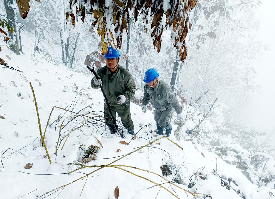 国网郧西县供电公司雪后特巡山区易覆冰线路